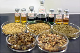 鄭州大學(xué)賈陸教授團(tuán)隊(duì)突破創(chuàng)新 金絲楠木提取物研發(fā)獲國家專利，植物提取技術(shù)再攀高峰