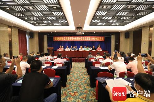 信息技術(shù)賦能，質(zhì)量安全護(hù)航——記海南省建設(shè)工程質(zhì)量安全檢測(cè)協(xié)會(huì)商品混凝土分會(huì)成立